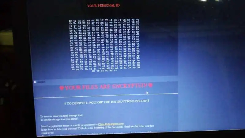 640.webp.jpg